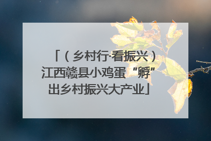 （乡村行·看振兴）江西赣县小鸡蛋“孵”出乡村振兴大产业