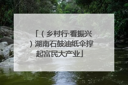 （乡村行·看振兴）湖南石鼓油纸伞撑起富民大产业