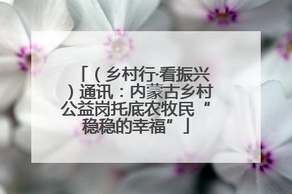 （乡村行·看振兴）通讯：内蒙古乡村公益岗托底农牧民“稳稳的幸福”