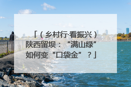 （乡村行·看振兴）陕西留坝：“满山绿”如何变“口袋金”？