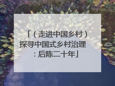 （走进中国乡村）探寻中国式乡村治理：后陈二十年