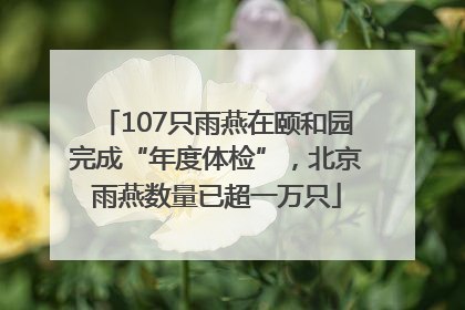 107只雨燕在颐和园完成“年度体检”，北京雨燕数量已超一万只