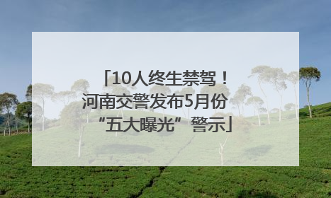 10人终生禁驾！河南交警发布5月份“五大曝光”警示