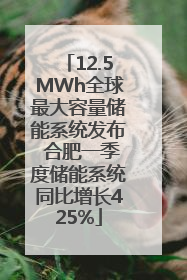 12.5MWh全球最大容量储能系统发布 合肥一季度储能系统同比增长425%