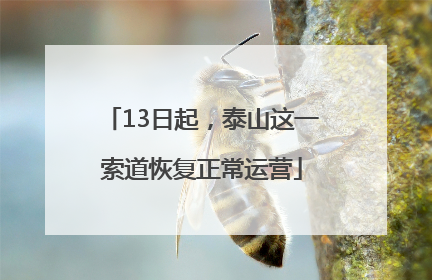 13日起，泰山这一索道恢复正常运营