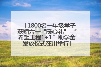 1800名一年级学子获赠六一“暖心礼” “希望工程1+1”助学金发放仪式在川举行
