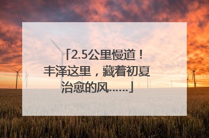 2.5公里慢道！丰泽这里，藏着初夏治愈的风……