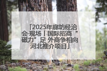 2025年廊坊经洽会·现场丨国际招商“磁力”足 外商争相向河北推介项目