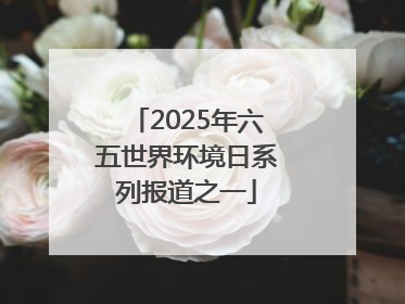 2025年六五世界环境日系列报道之一