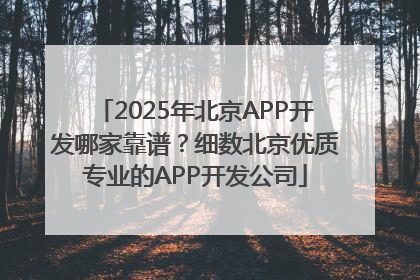 2025年北京APP开发哪家靠谱？细数北京优质专业的APP开发公司
