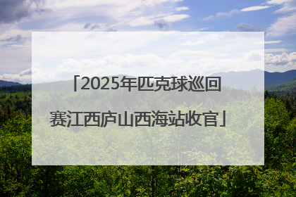 2025年匹克球巡回赛江西庐山西海站收官