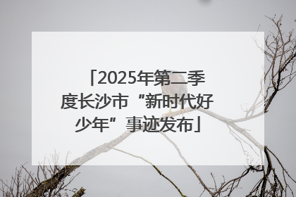 2025年第二季度长沙市“新时代好少年”事迹发布