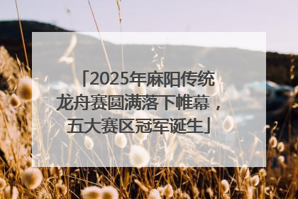 2025年麻阳传统龙舟赛圆满落下帷幕，五大赛区冠军诞生
