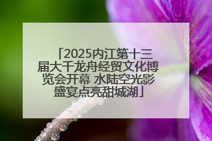 2025内江第十三届大千龙舟经贸文化博览会开幕 水陆空光影盛宴点亮甜城湖