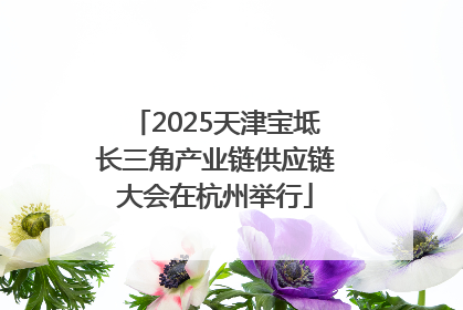 2025天津宝坻长三角产业链供应链大会在杭州举行