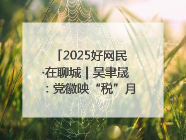 2025好网民·在聊城｜吴聿晟：党徽映“税”月 网播传政声