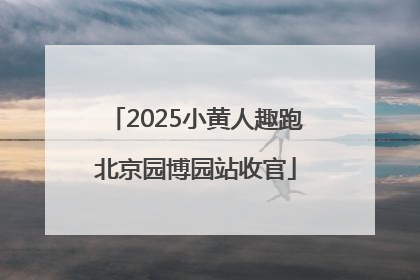 2025小黄人趣跑北京园博园站收官
