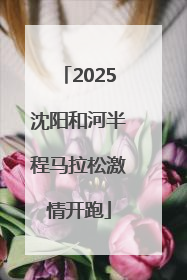 2025沈阳和河半程马拉松激情开跑