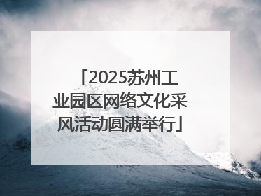 2025苏州工业园区网络文化采风活动圆满举行