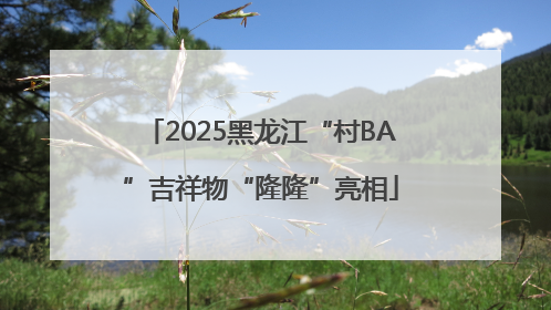 2025黑龙江“村BA”吉祥物“隆隆”亮相