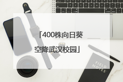 400株向日葵空降武汉校园