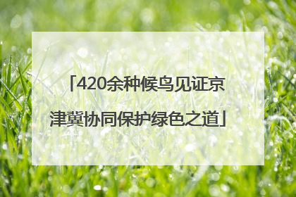420余种候鸟见证京津冀协同保护绿色之道