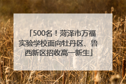 500名！菏泽市万福实验学校面向牡丹区、鲁西新区招收高一新生