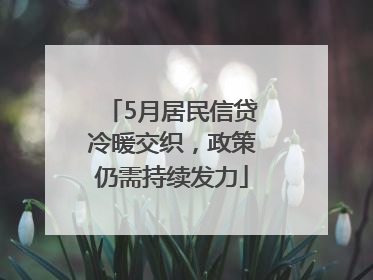5月居民信贷冷暖交织，政策仍需持续发力
