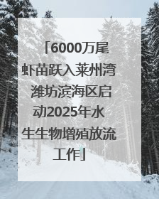 6000万尾虾苗跃入莱州湾 潍坊滨海区启动2025年水生生物增殖放流工作
