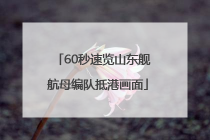 60秒速览山东舰航母编队抵港画面