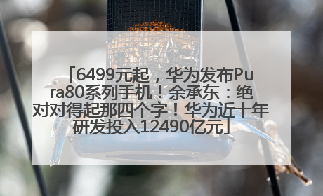 6499元起，华为发布Pura80系列手机！余承东：绝对对得起那四个字！华为近十年研发投入12490亿元