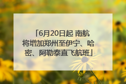 6月20日起 南航将增加郑州至伊宁、哈密、阿勒泰直飞航班