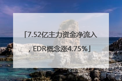 7.52亿主力资金净流入，EDR概念涨4.75%
