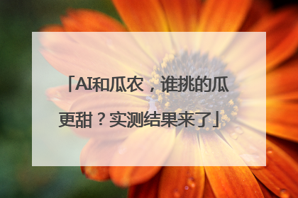 AI和瓜农，谁挑的瓜更甜？实测结果来了