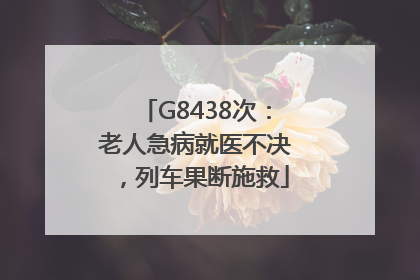 G8438次：老人急病就医不决，列车果断施救