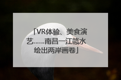VR体验、美食演艺……南昌一江赣水绘出两岸画卷